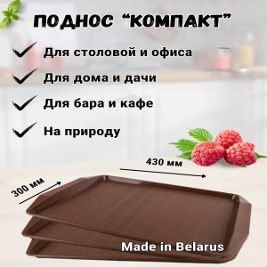 Поднос КОМПАКТ